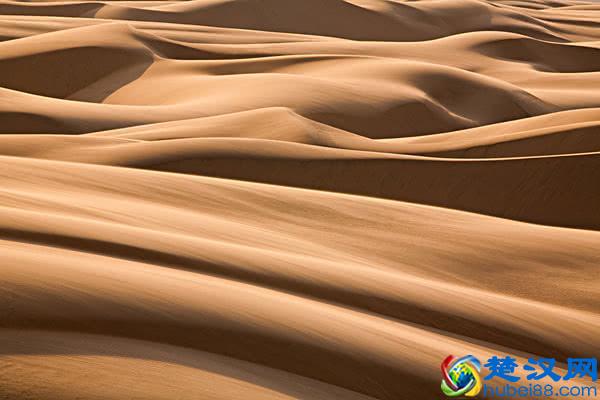 为什么专家说遇到沙漠里的石头不捡的就是傻子？