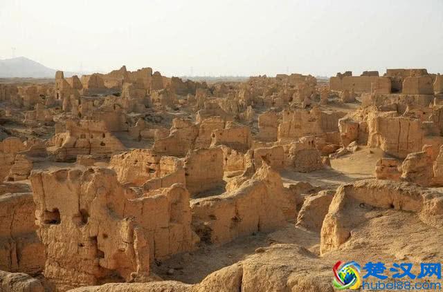 为什么专家说遇到沙漠里的石头不捡的就是傻子？