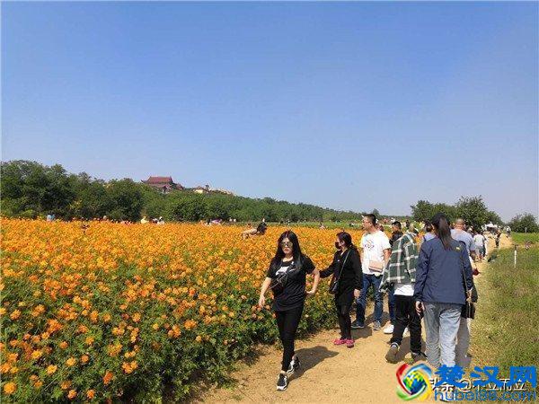 马云预言：未来最好的发展机会在农村，这几个机遇要把握住