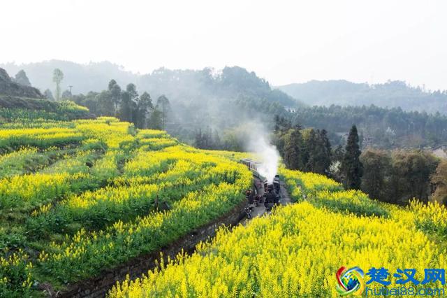 12个最适合女生的国内旅行地，争取每年能去一个