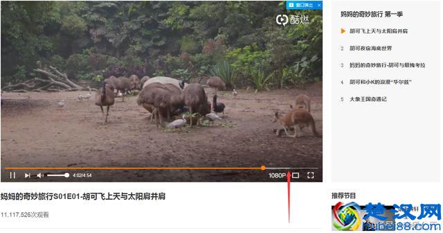 网页上的视频只能看看？教你一招轻松保存到本地