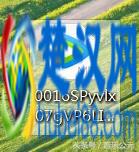 网页上的视频只能看看？教你一招轻松保存到本地