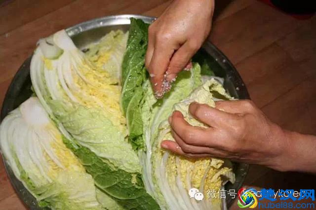 正宗韩国泡菜制作方法