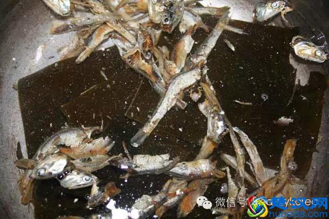 正宗韩国泡菜制作方法