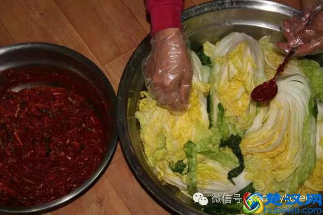正宗韩国泡菜制作方法
