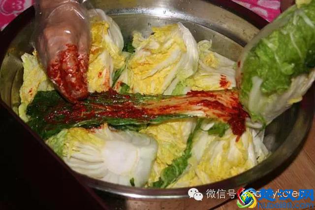 正宗韩国泡菜制作方法