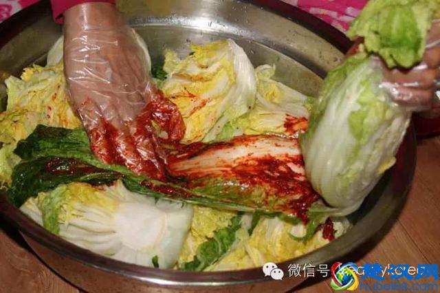 正宗韩国泡菜制作方法