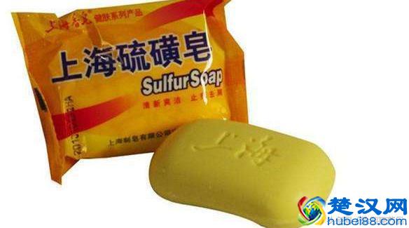 除跳蚤的三个绝招分享!