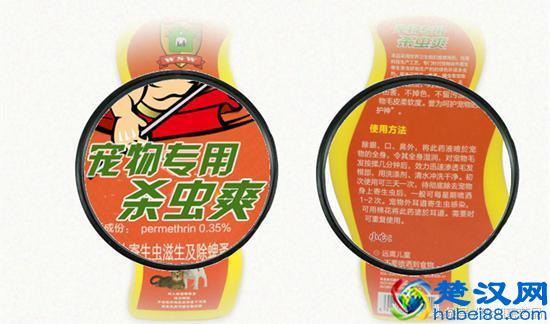 除跳蚤的三个绝招分享!