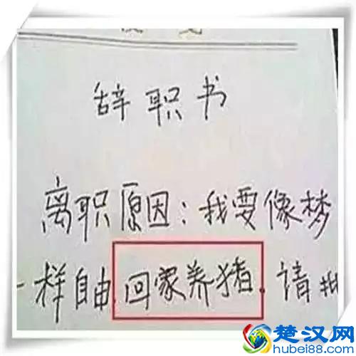 辞职是个技术活啊，这样的辞职书才能打动老板