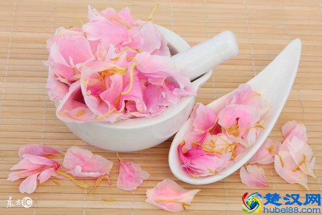 白芍的功效与作用及禁忌，大家都知道吗？