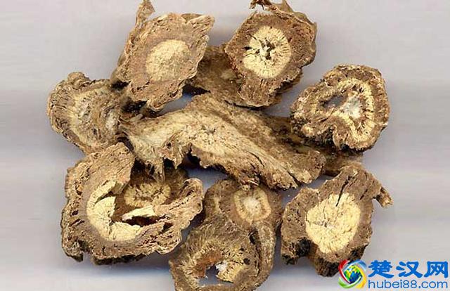 独活的功效与作用,具有祛风除湿等功效