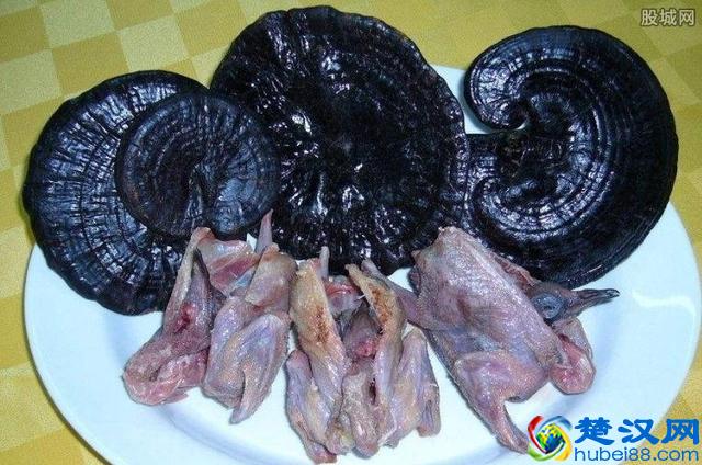 灵芝的功效与作用及食用方法，哪些人不适合吃灵芝？