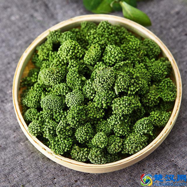 三七花的主要功效、作用与使用禁忌