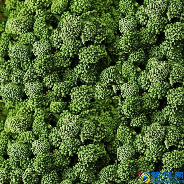 三七花的主要功效、作用与使用禁忌