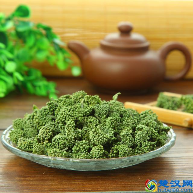 三七花的主要功效、作用与使用禁忌