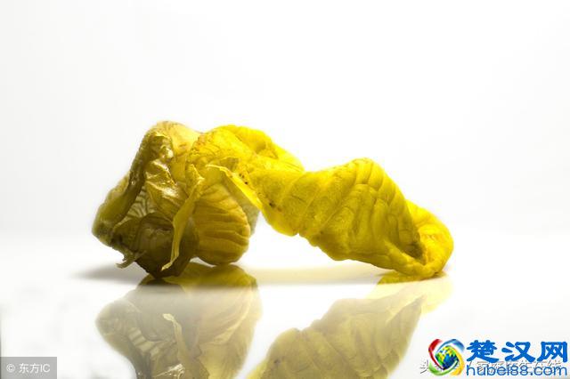 不起眼的鸡内金，有不为人知的5大功效，你浪费了多少营养？