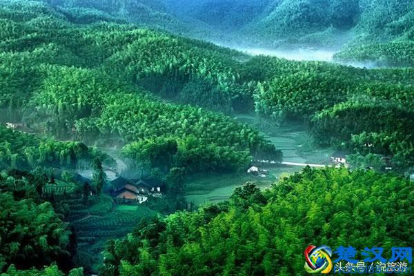 蜀南竹海自驾游较适宜，有哪些景点一定不可错过呢？