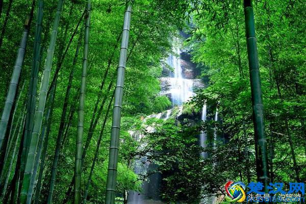 蜀南竹海自驾游较适宜，有哪些景点一定不可错过呢？