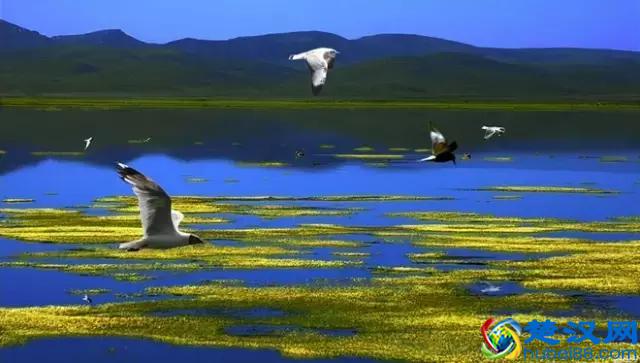 2018甘南旅游最全攻略，建议收藏！