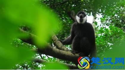 深圳野生动物园低于5折！周末有地去玩了！