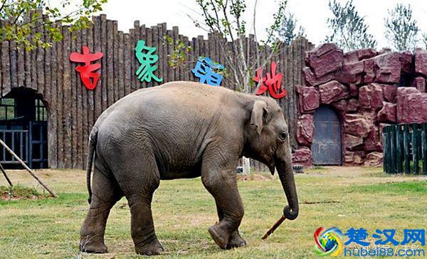 济南野生动物园门票多少钱