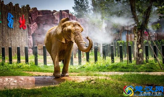 济南野生动物园门票多少钱
