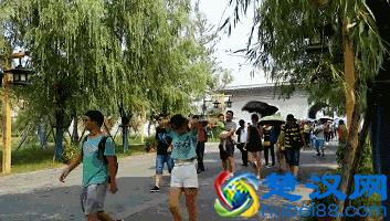 龙门石窟门票半价进入倒计时，再不来就晚了