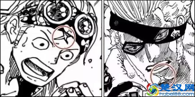 海贼王：海军秘密组织SWORD，青雉也是这里的成员？