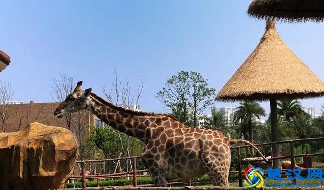 盘点南昌都有哪些好玩的旅游景点