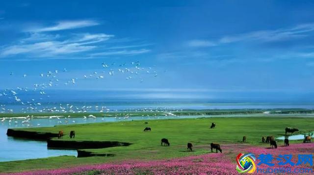 盘点南昌都有哪些好玩的旅游景点