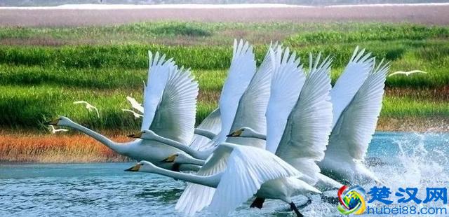 盘点南昌都有哪些好玩的旅游景点