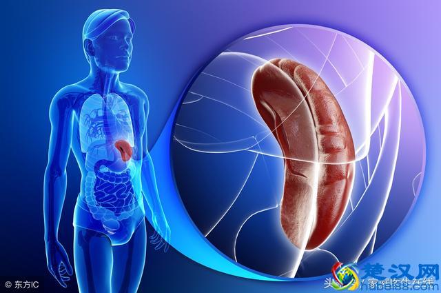 为什么脸上容易长脂肪粒?无非就这五个原因