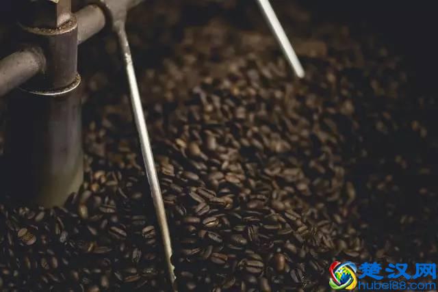 S.O.E是什么？Single Origin应该怎么玩？