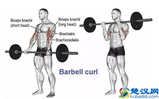 15个手臂训练动作，手臂有肌肉才够男人！