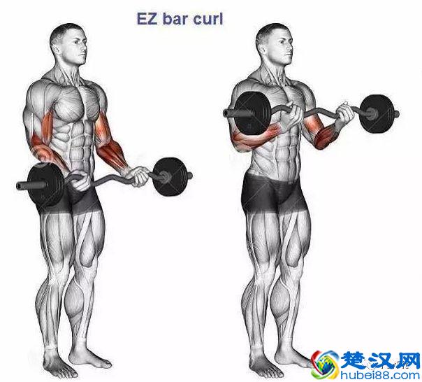 15个手臂训练动作，手臂有肌肉才够男人！