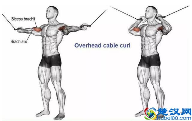 15个手臂训练动作，手臂有肌肉才够男人！