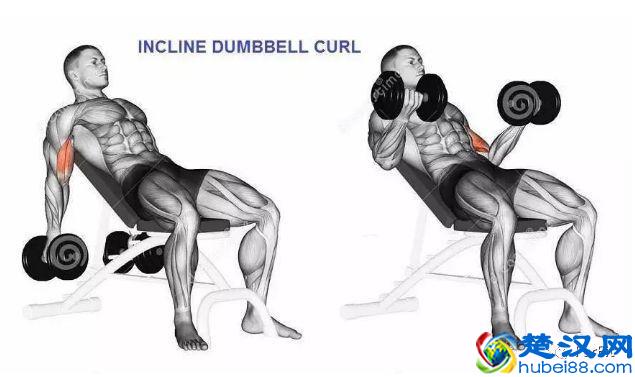 15个手臂训练动作，手臂有肌肉才够男人！