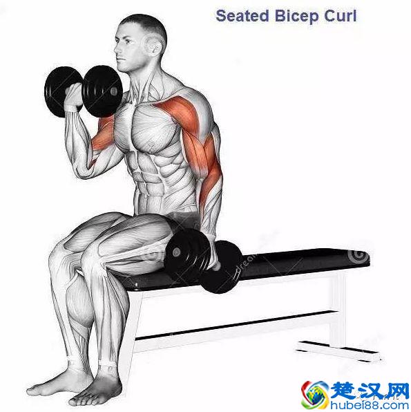 15个手臂训练动作，手臂有肌肉才够男人！