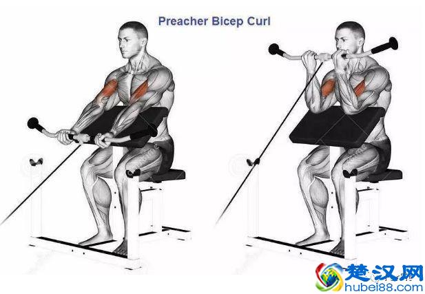 15个手臂训练动作，手臂有肌肉才够男人！