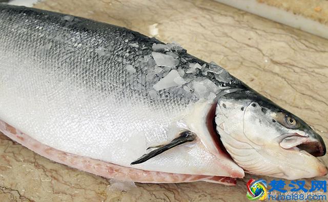 三文鱼怎么吃？生吃还是熟吃？这么多做法都给你整理好了