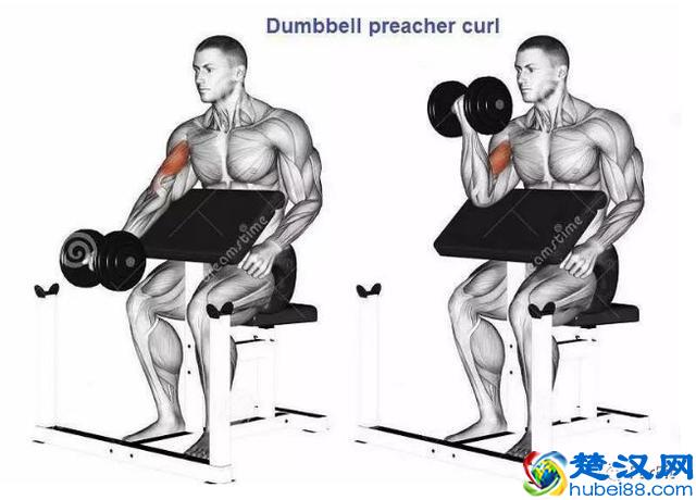 15个手臂训练动作，手臂有肌肉才够男人！