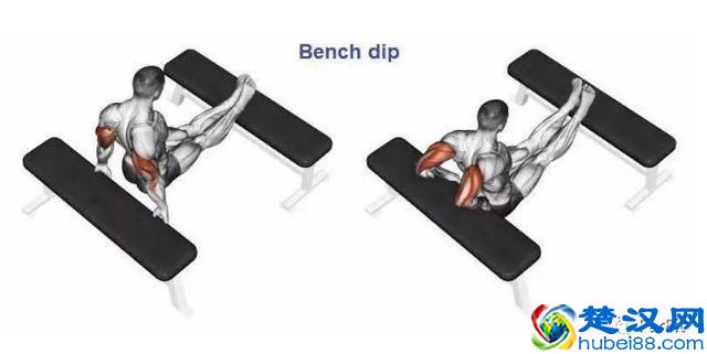 15个手臂训练动作，手臂有肌肉才够男人！