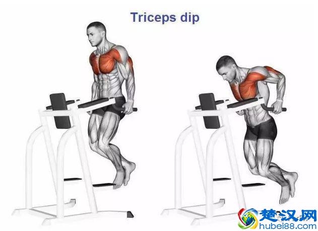 15个手臂训练动作，手臂有肌肉才够男人！