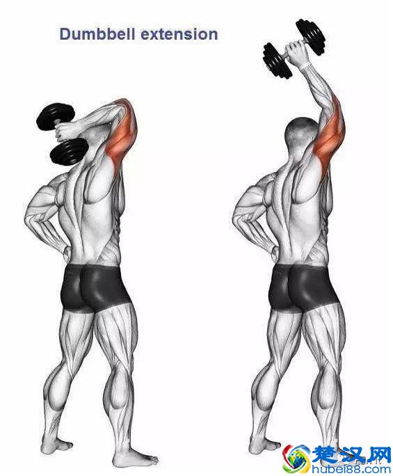 15个手臂训练动作，手臂有肌肉才够男人！