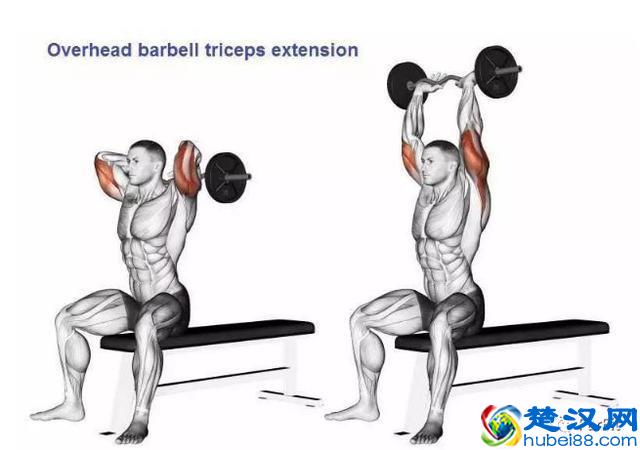 15个手臂训练动作，手臂有肌肉才够男人！