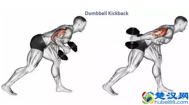 15个手臂训练动作，手臂有肌肉才够男人！