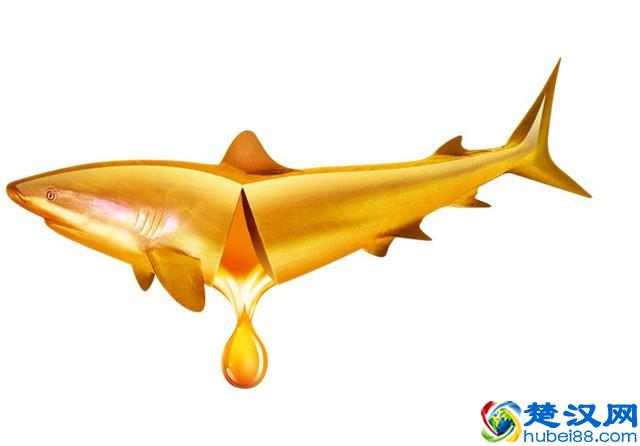 鱼肝油什么时候吃最好？鱼肝油的功效与作用