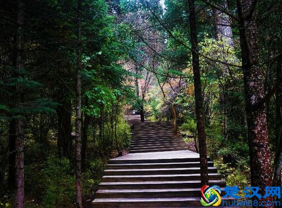 九寨沟最佳旅游攻略大全！去的朋友可以收藏哦！