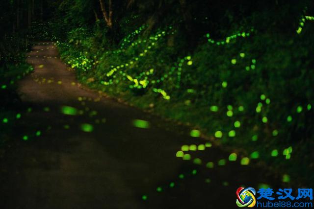 台湾自由行详细攻略 纯干货！必入